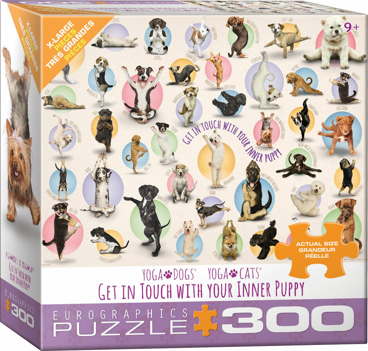 Yoga Puppies 300-Piece Puzzle (Small box)