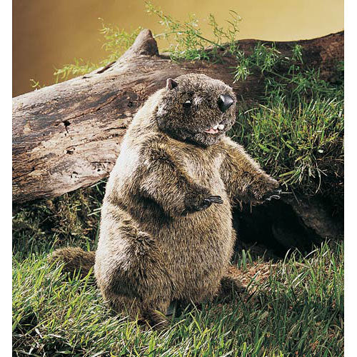 Groundhog hand puppet