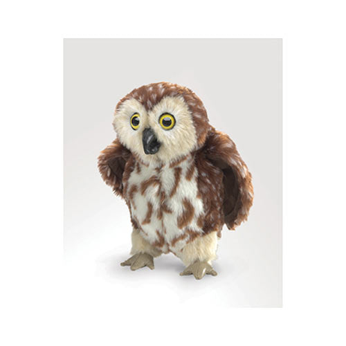 Saw-whet Owl