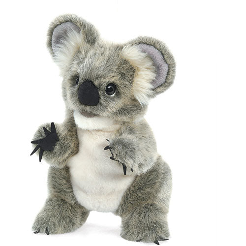 Baby Koala