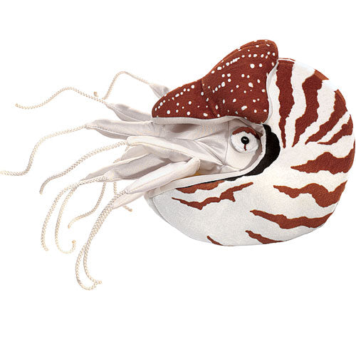 Nautilus