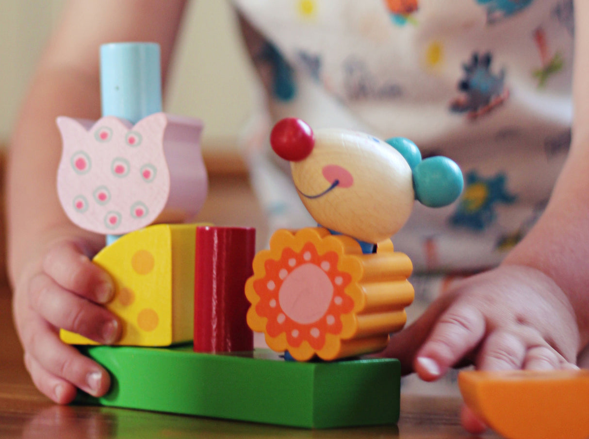 Brain Builder - Cat & Mouse