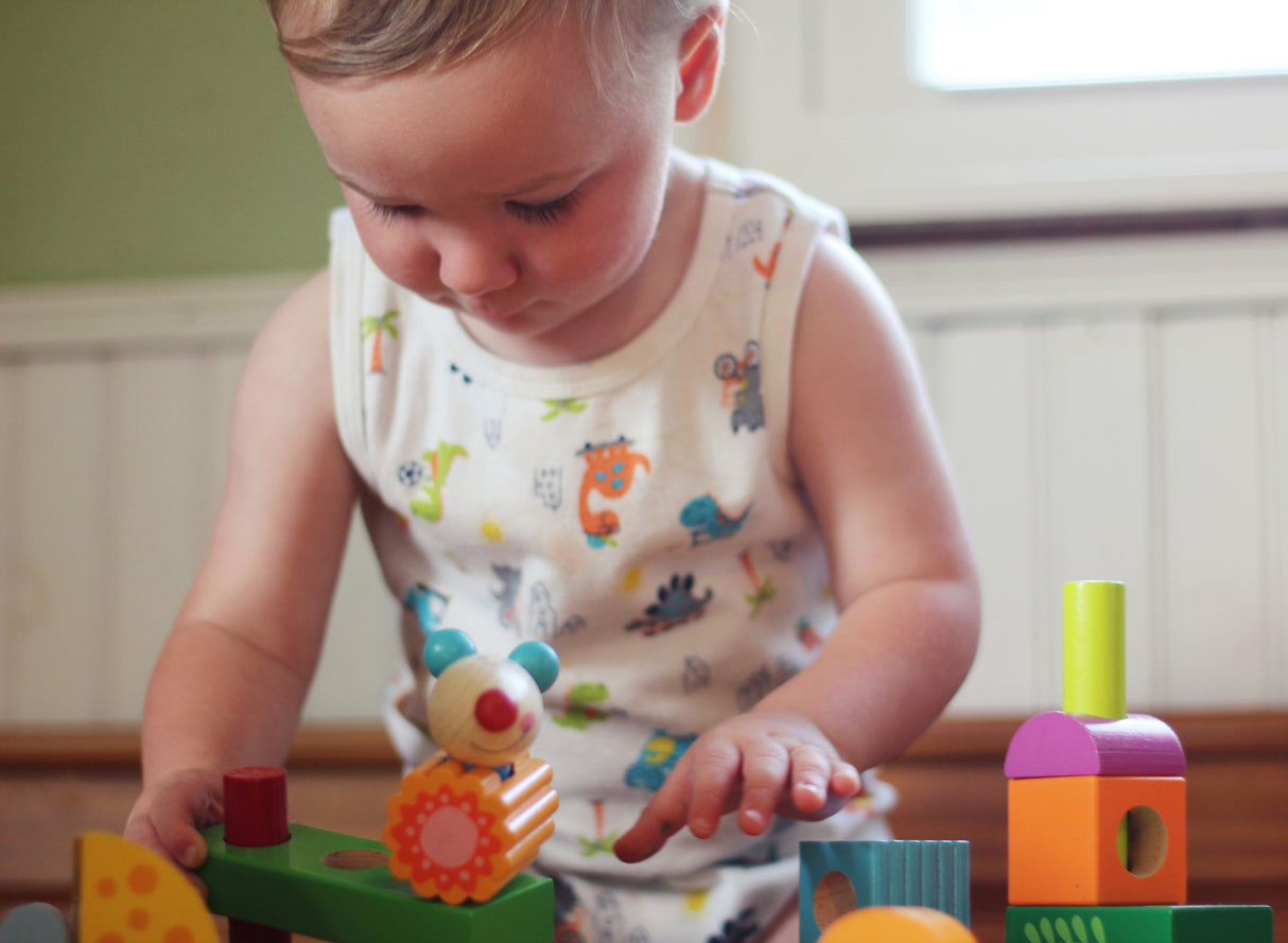 Brain Builder - Cat & Mouse