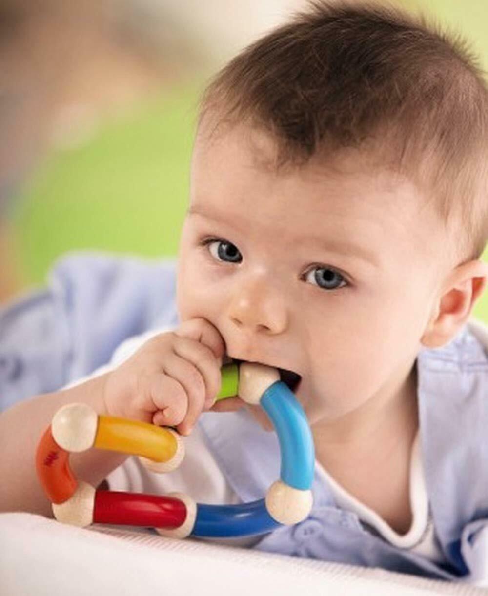 Clutching Toy Color Snake