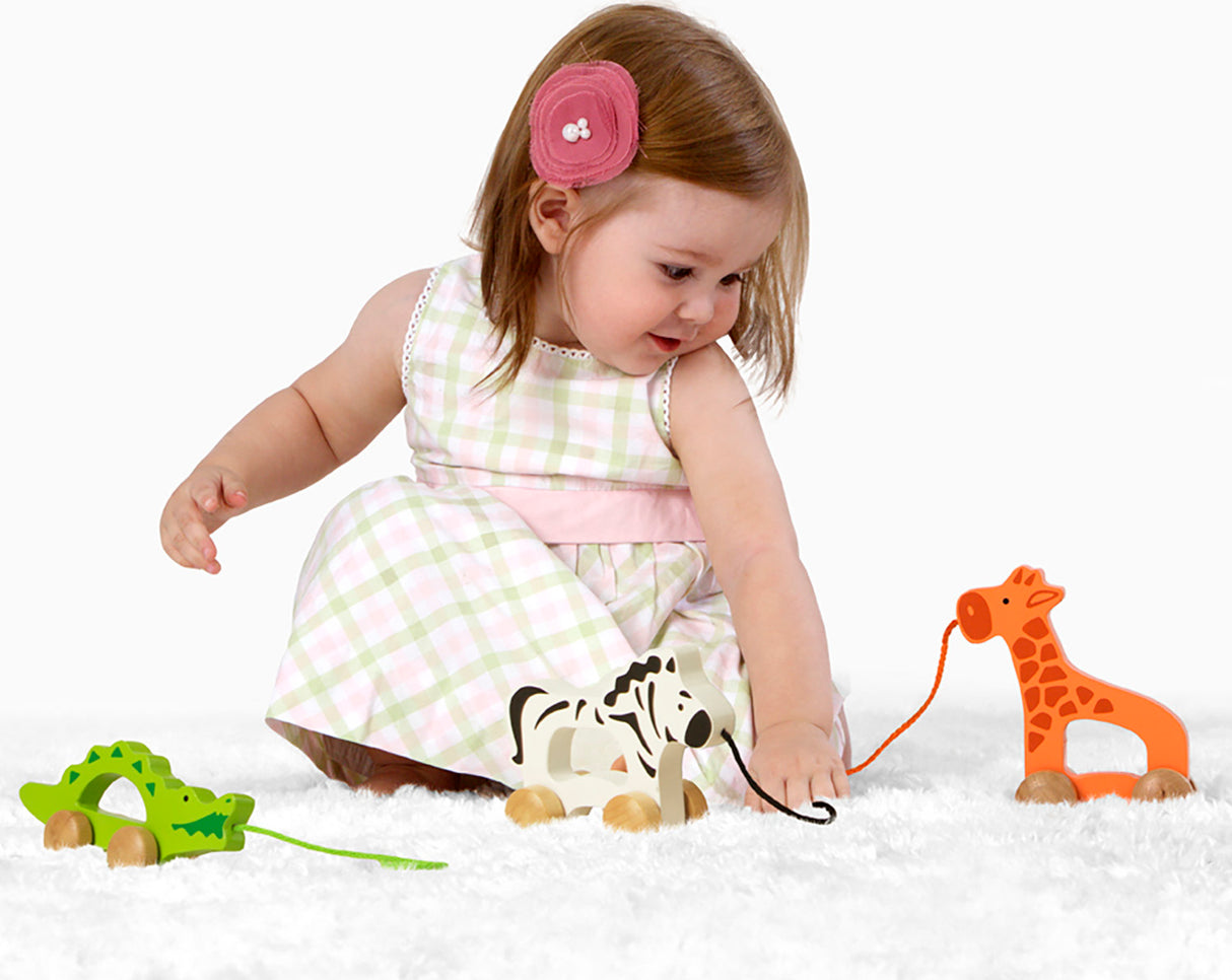 Giraffe Pull Toy