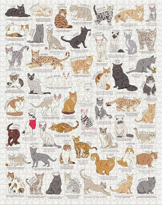 Cat Lover's 1000 Piece Jigsaw Puzzle