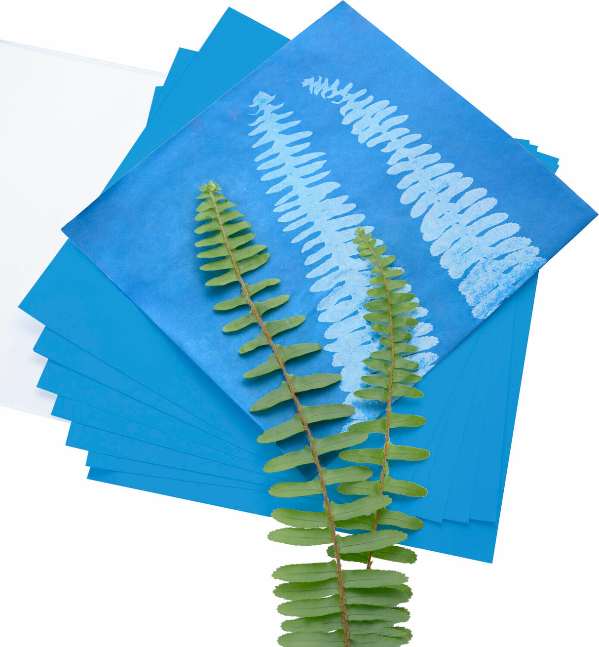 Herschel Solar Print 4"