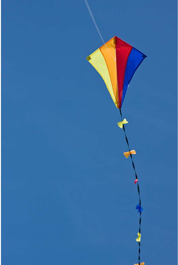 Eco: Eddy Spectrum 50cm 20"