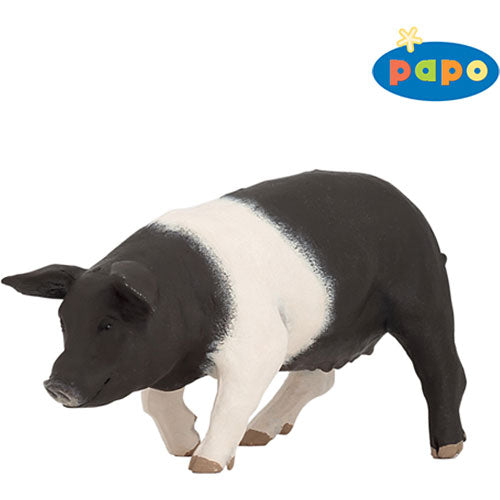 Black and White Sow