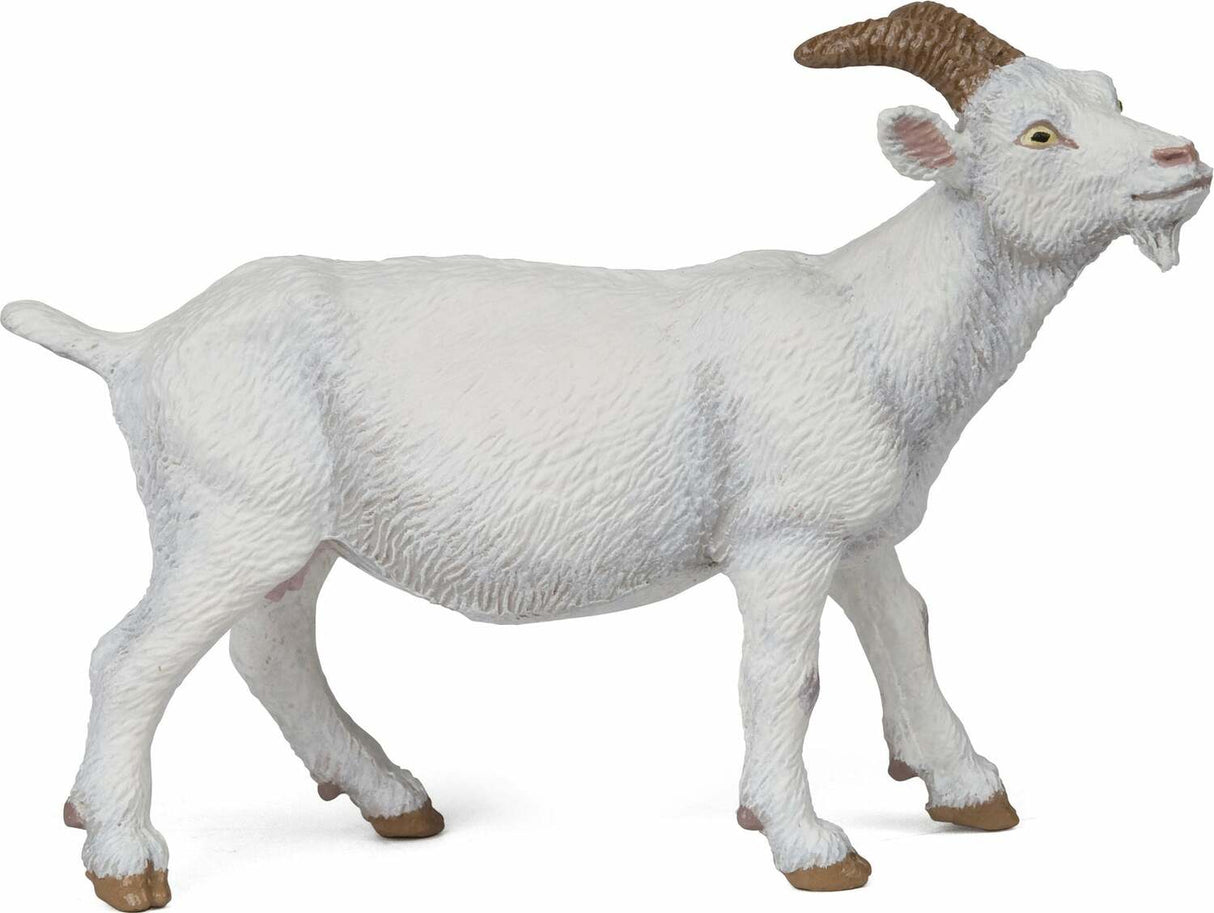 the White Nanny Goat
