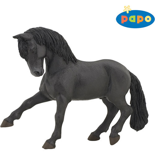 Black Lustanian Horse