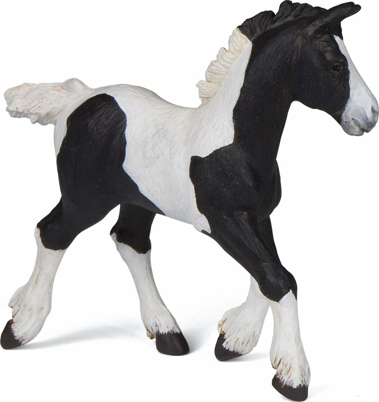 Black Cob Foal