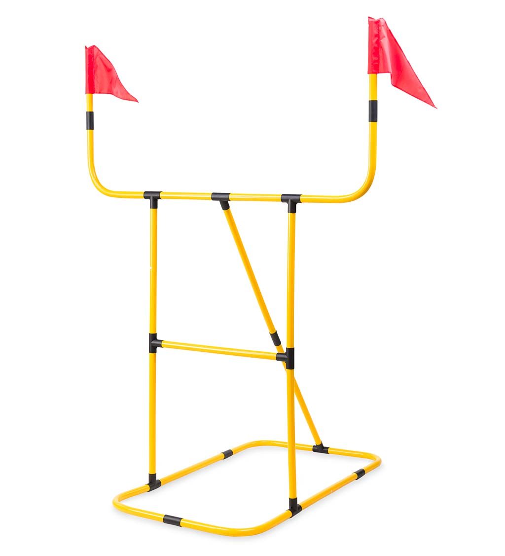 Football/Frisbee Toss 2 In 1