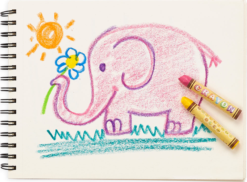 Brilliant Bee Crayons 12cnt