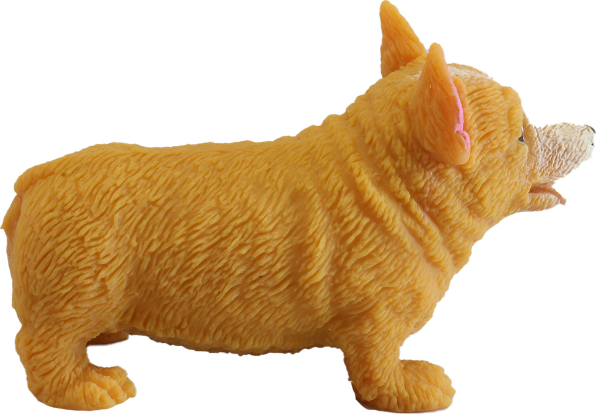 Stretchi Corgi
