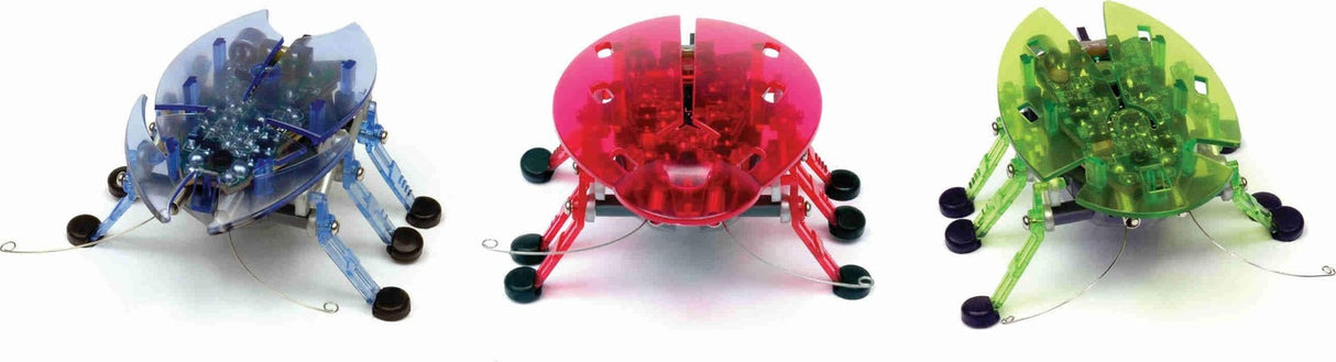 HEXBUG Beetle