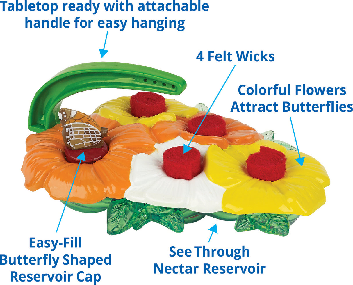 butterfly feeder