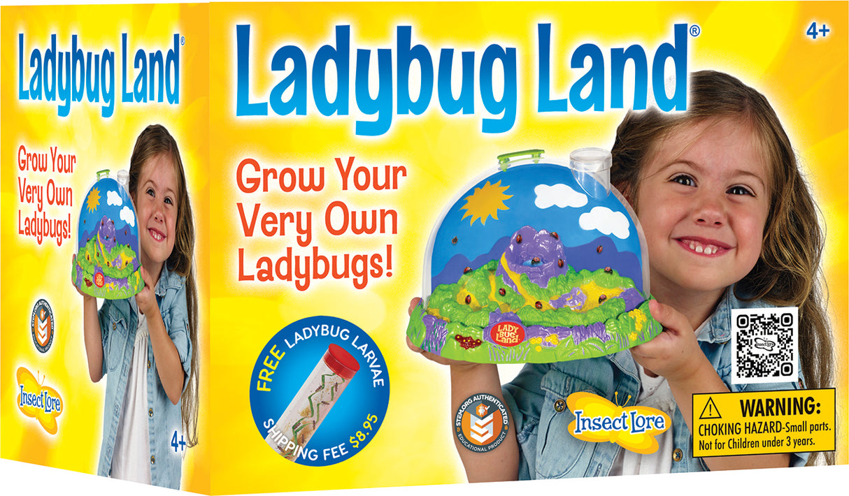 Lady Bug Land