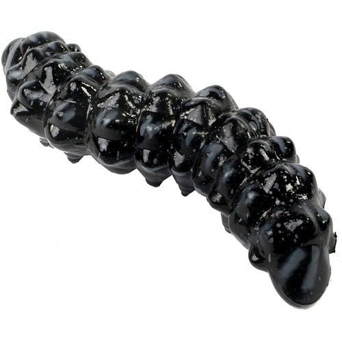 Butterfly Lifecycle Stages