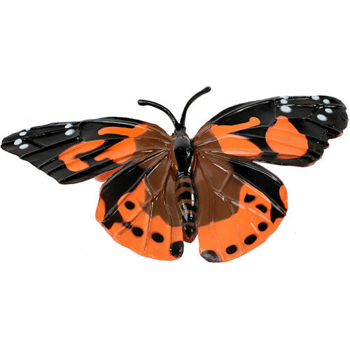 Butterfly Lifecycle Stages