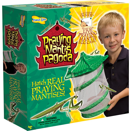 praying mantis pagoda