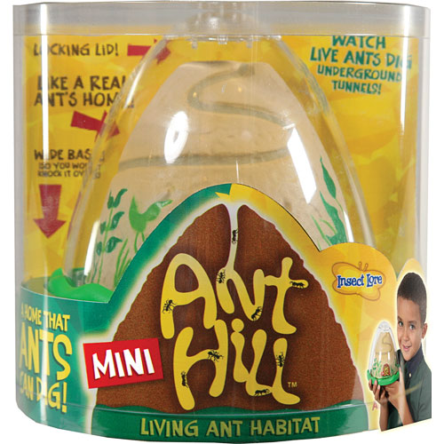 Mini Anthill with Coupon