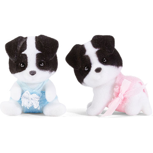 Border Collie Twins