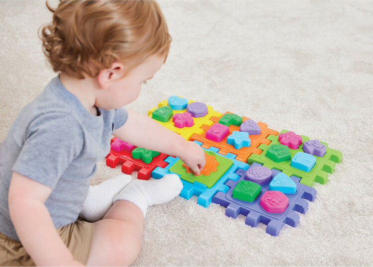 2-In-1 Shape Sorter