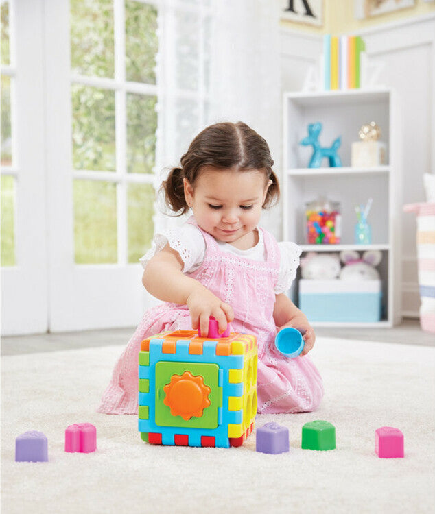 2-In-1 Shape Sorter