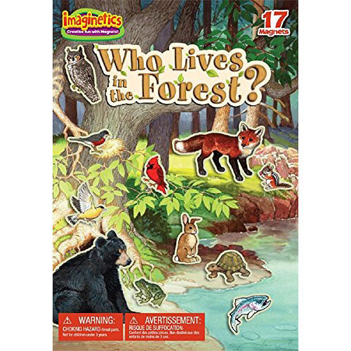 Imaginetics Who Lives in The Forest? Play Board