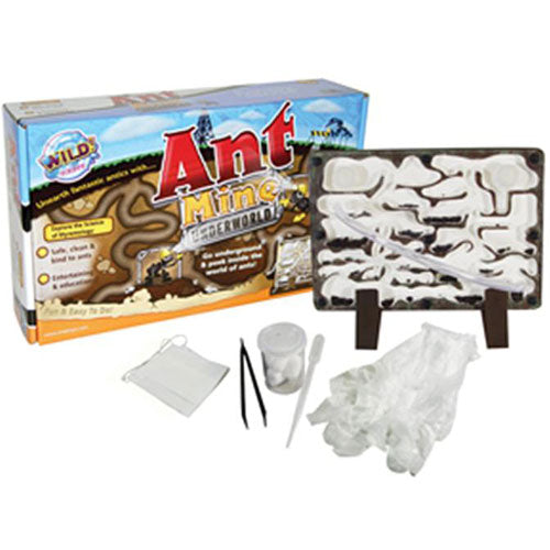 ant mine