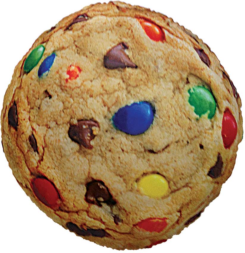 Candy Chip Cookie Microbead Pillow, Choc Chip Scented