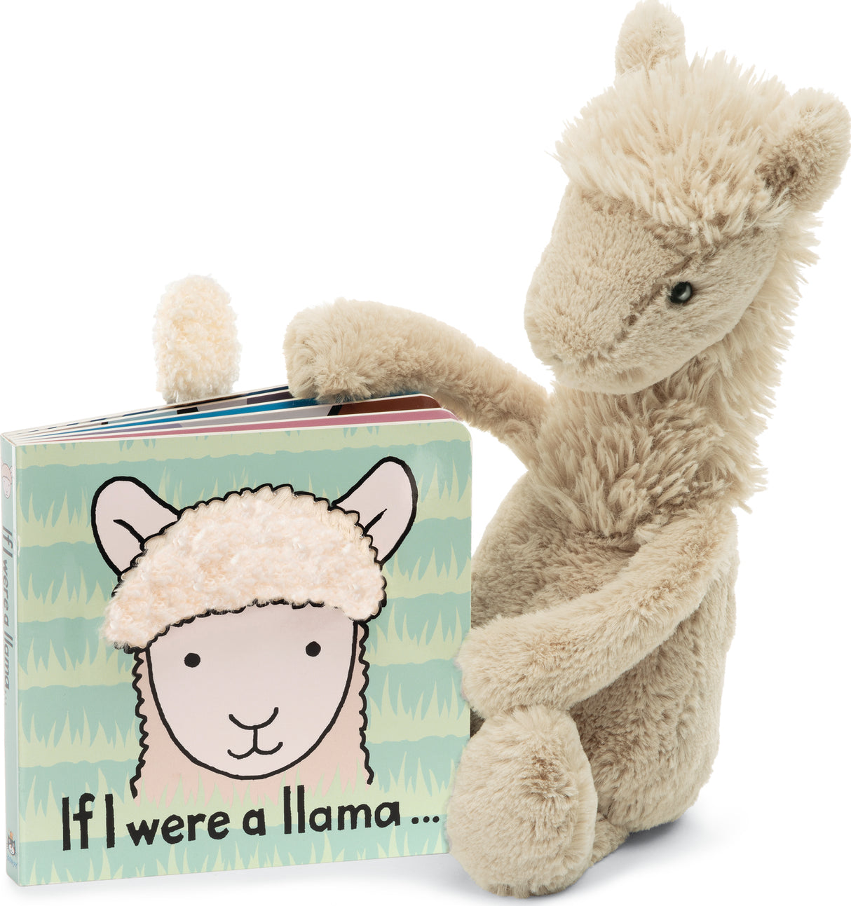 JellyCats Bashful Llama