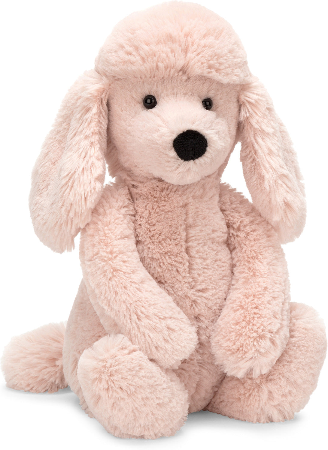 Bashful Poodle