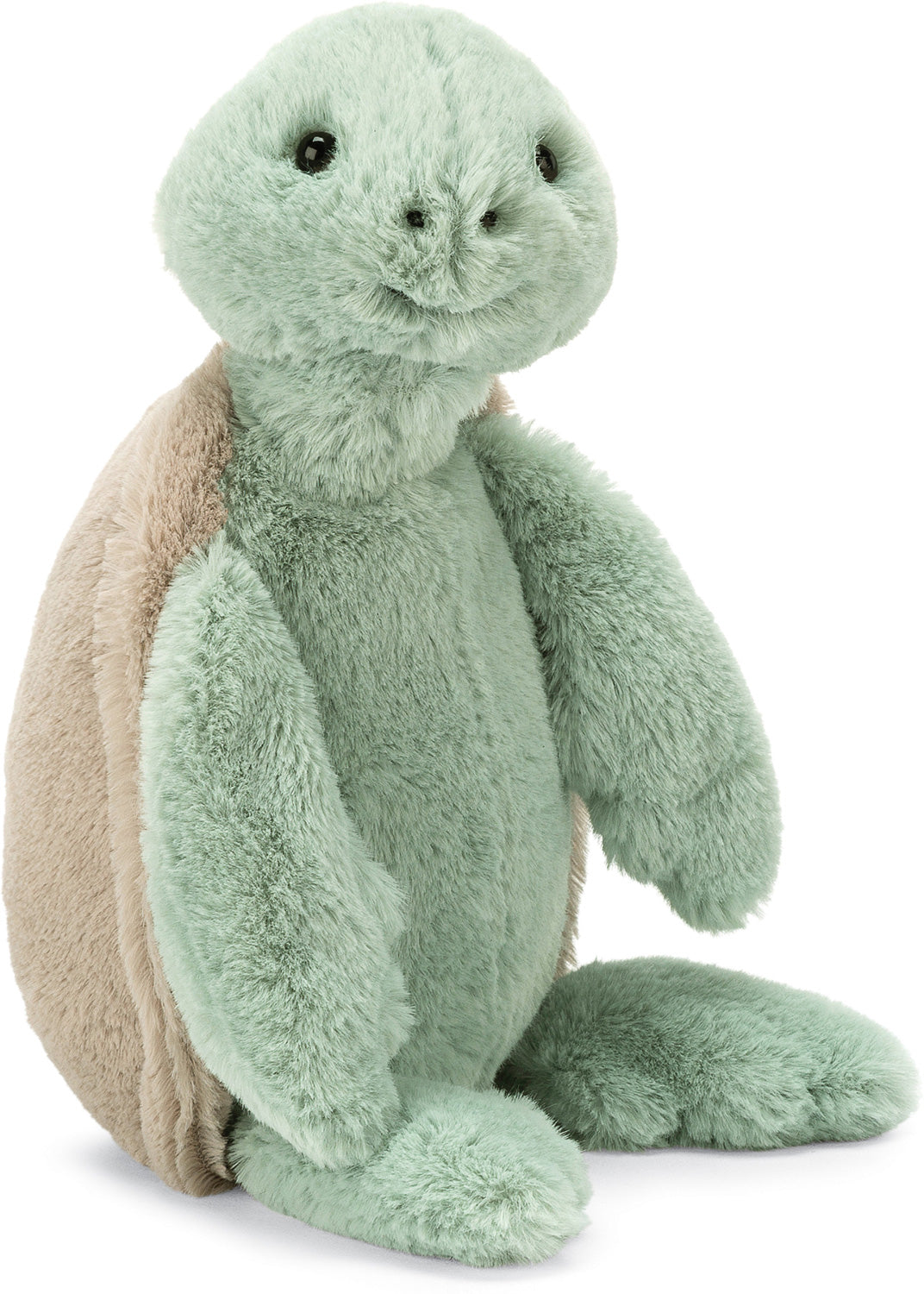 JellyCats Bashful Turtle Medium