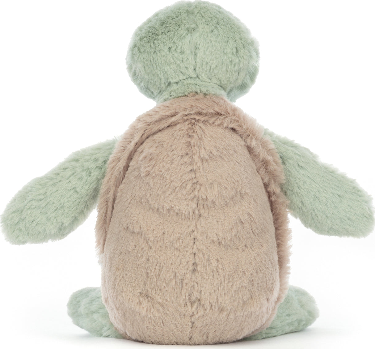 Bashful Turtle Small