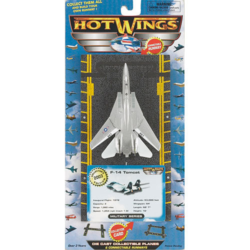 Hot Wings F-14 Tomcat