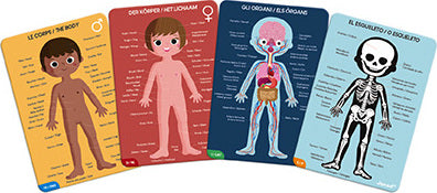 Educational Puzzle-human Body-50,75,100 Pcs