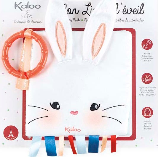 Activity Book - The Rabbit In Love