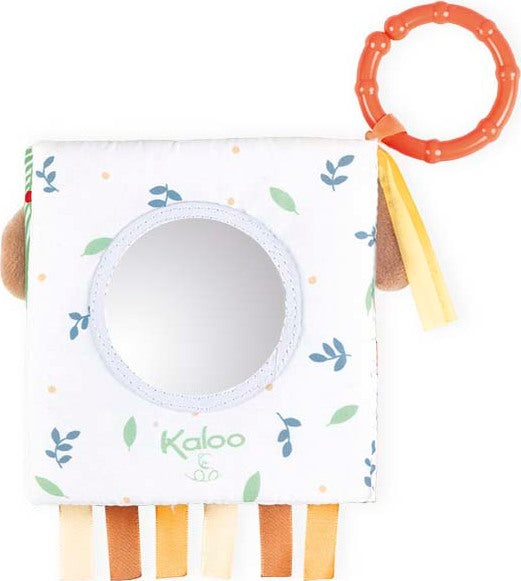 Activity Book - The Curious Lion