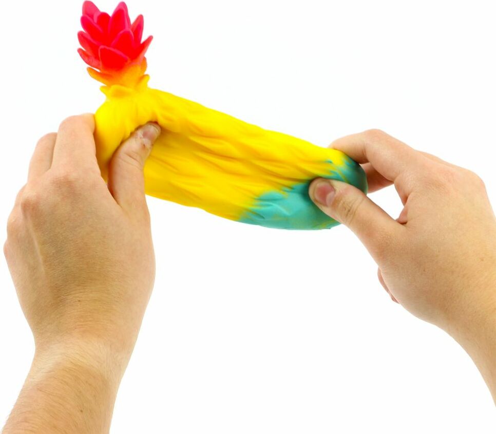 GOGOPO Rainbow Stretchy Fruit