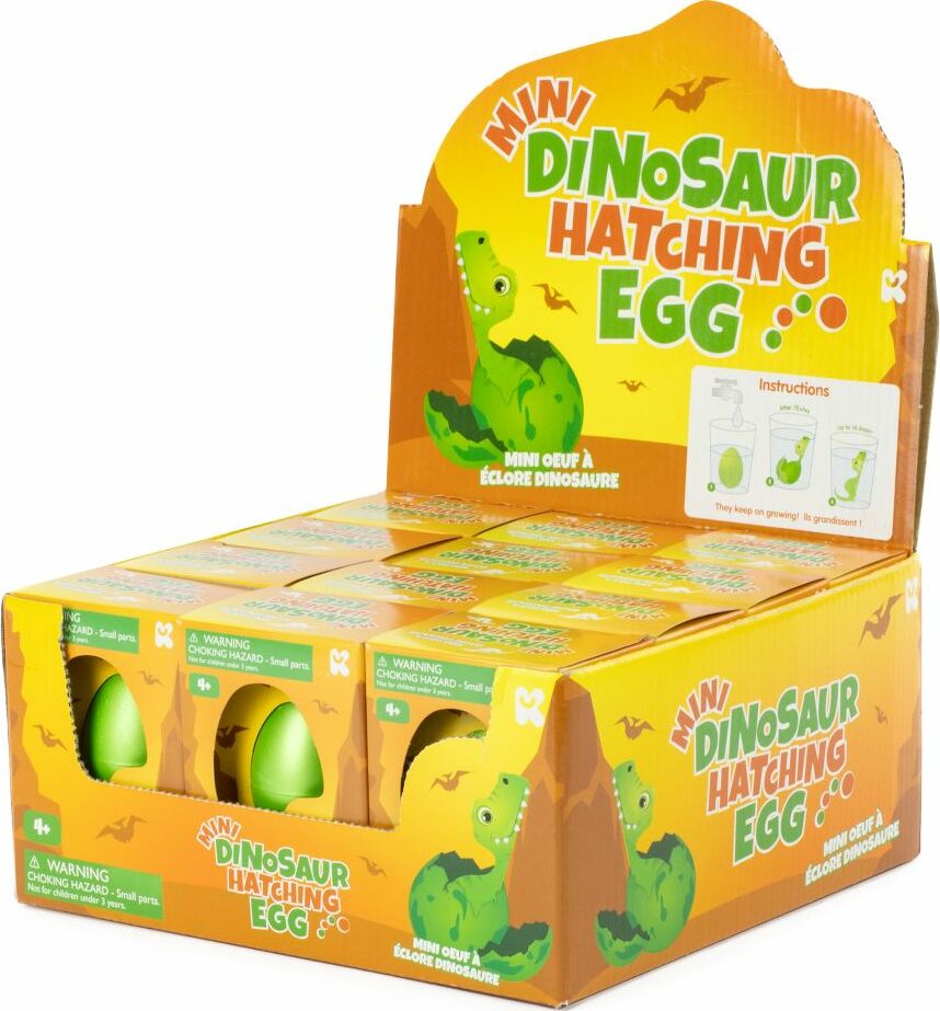 Mini Dinosaur Hatching Eggs