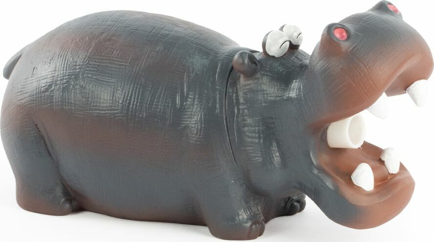 Noisy Hippo