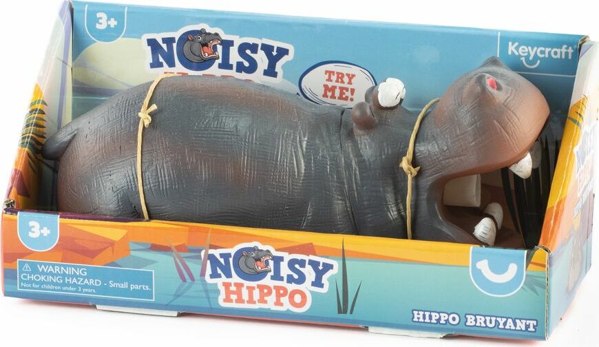 Noisy Hippo