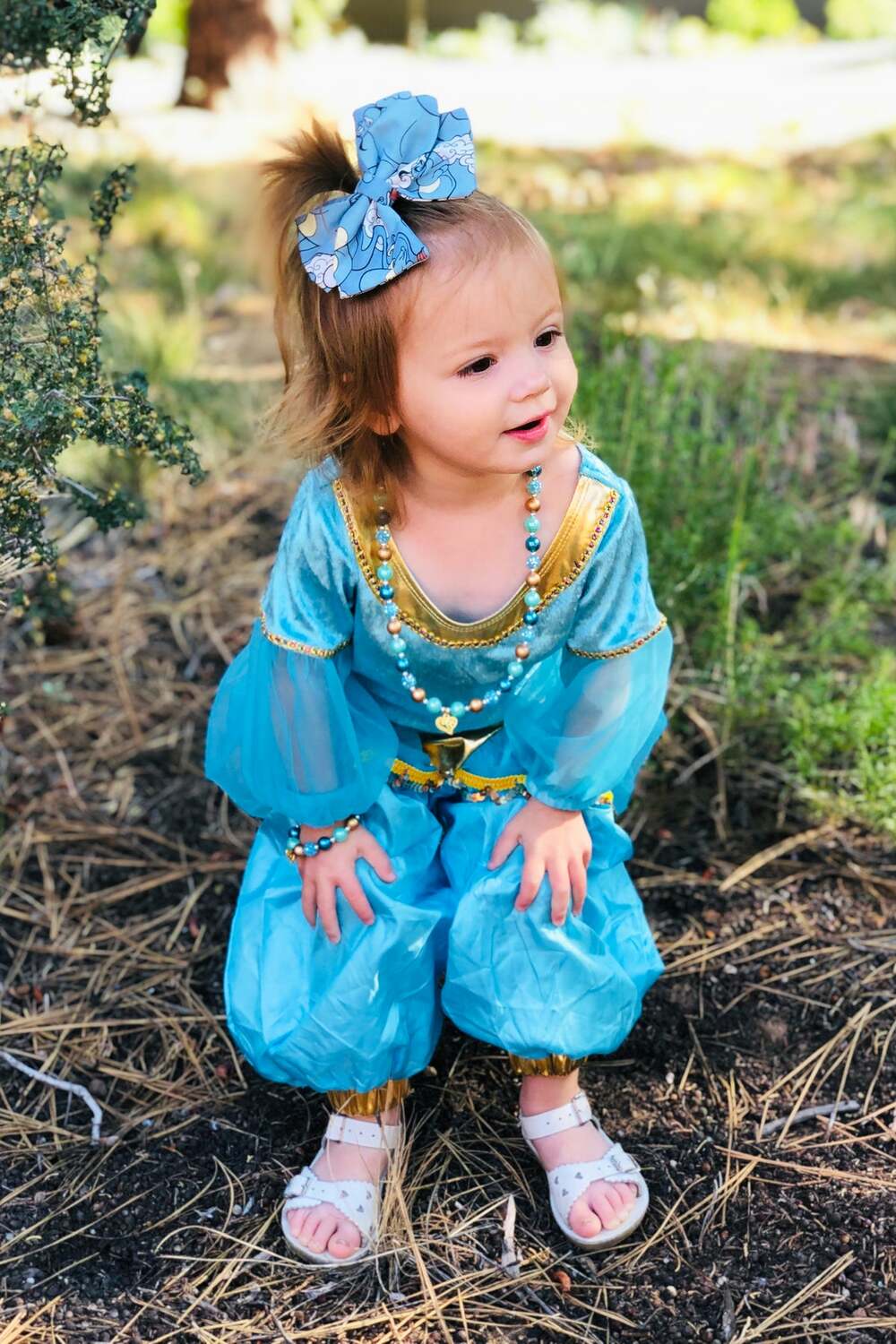 Arabian Princess - Medium