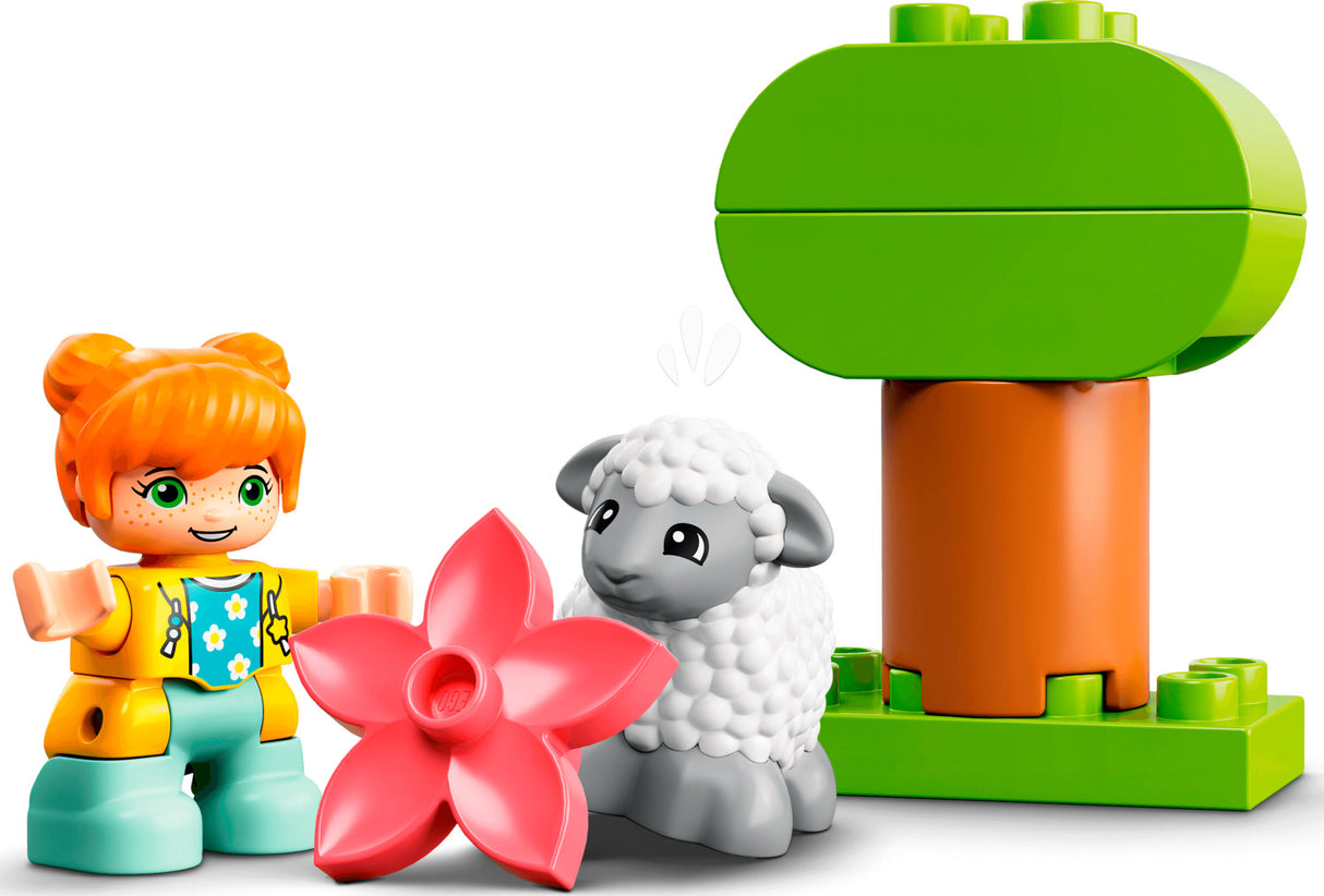 Farm Tractor Animal Care