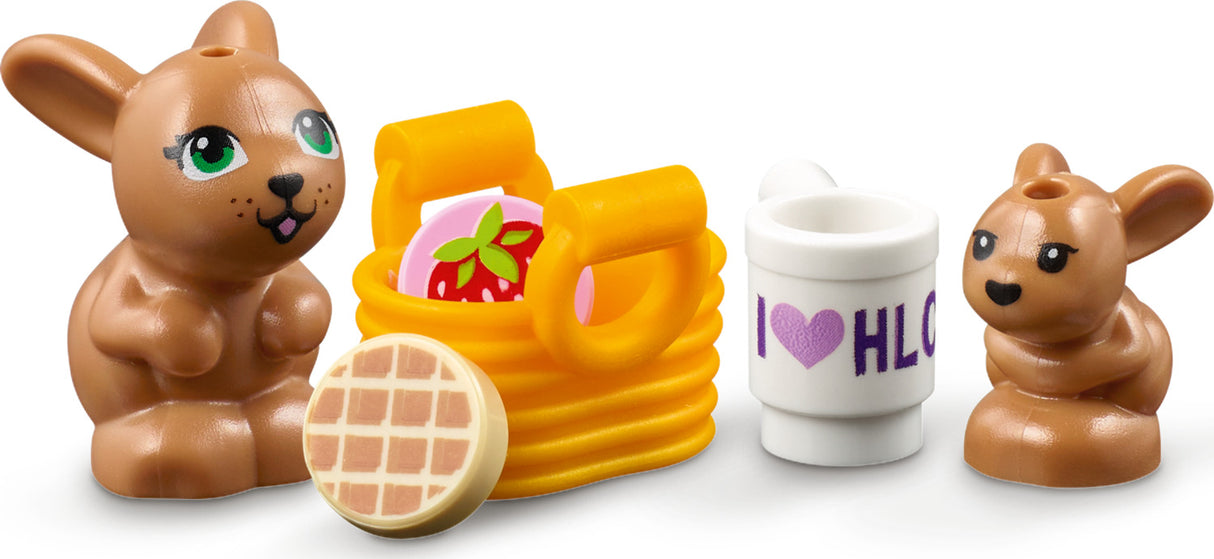 Vet Clinic Rescue Helicopter