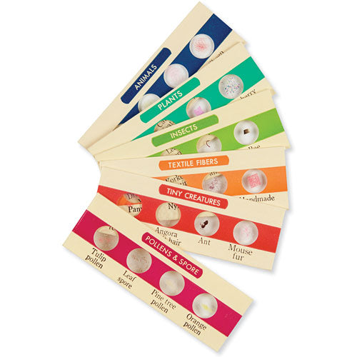 Prepared Slides Set 2