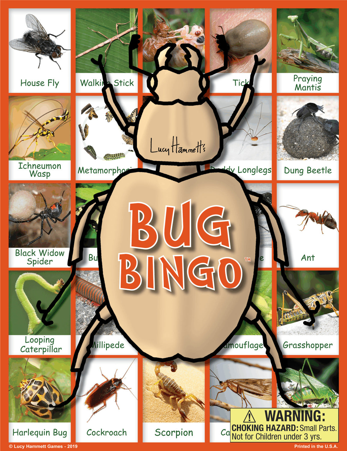 Bug Bingo
