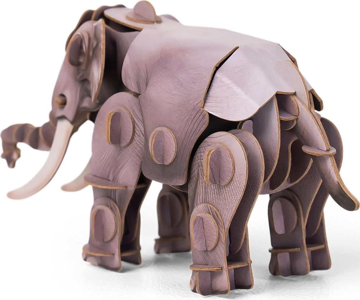 Voices of Nature Asian Elephant